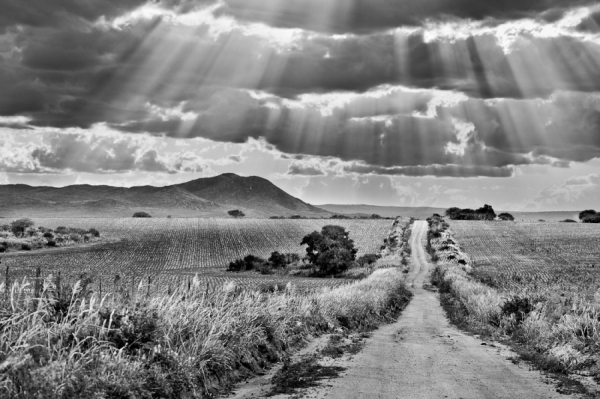 Photograph Marcos Furer On The Road on One Eyeland
